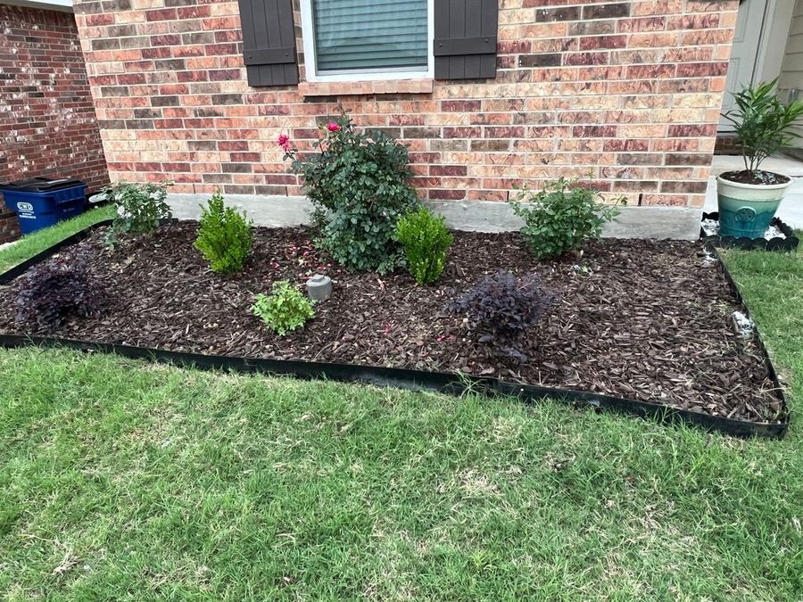 Healthy green lawn and landscaping after sprinkler system repair in Wylie TX